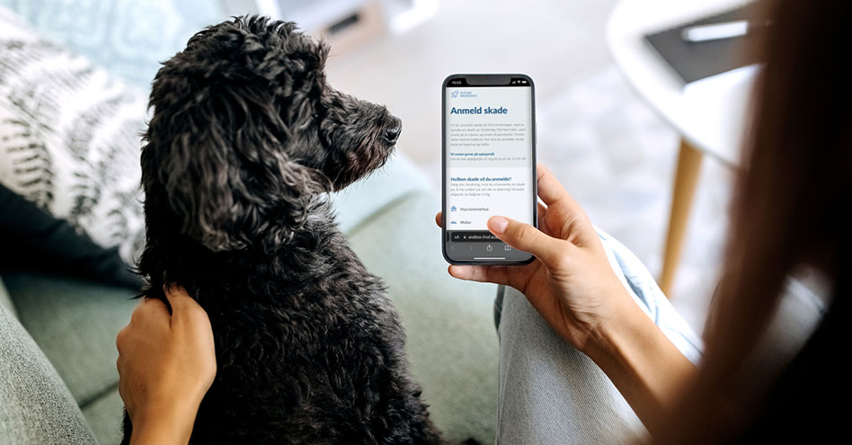 Person sitting with dog looking at phone on claims self service