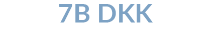 a-trusted-and-reliable-saas-claims-system-01 7B DKK icon